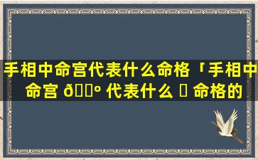 手相中命宫代表什么命格「手相中命宫 🐺 代表什么 ☘ 命格的人」